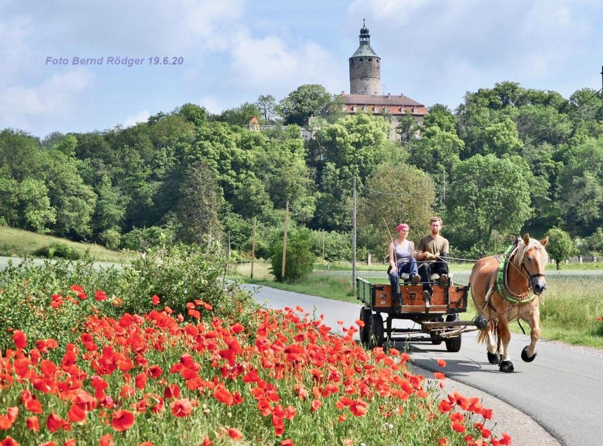 Pension Gruenes Herz Tonndorf Luaran gambar