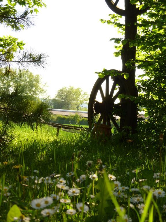Pension Gruenes Herz Tonndorf Luaran gambar